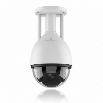 PTZ Cameras